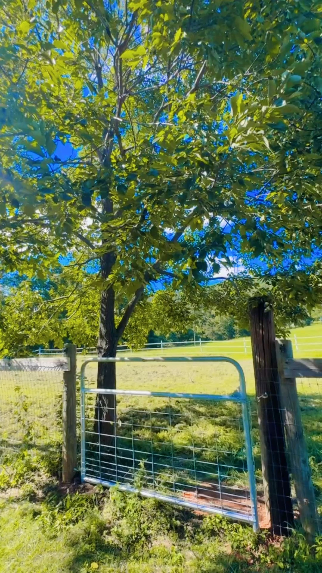 I mean… look at all this beautiful land for my babies 👶🏼 to roam and explore!!! 🌾 I love it and we love YOU, @wesmabry !! 😘🥰😍