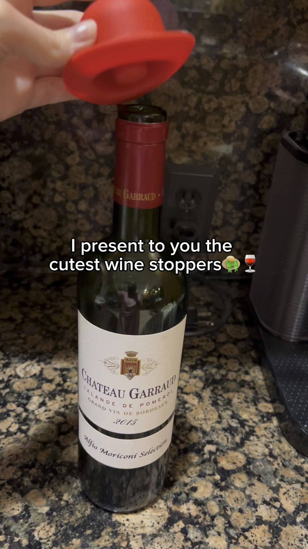 #LTKGiftGuide #LTKHoliday #LTKVideo