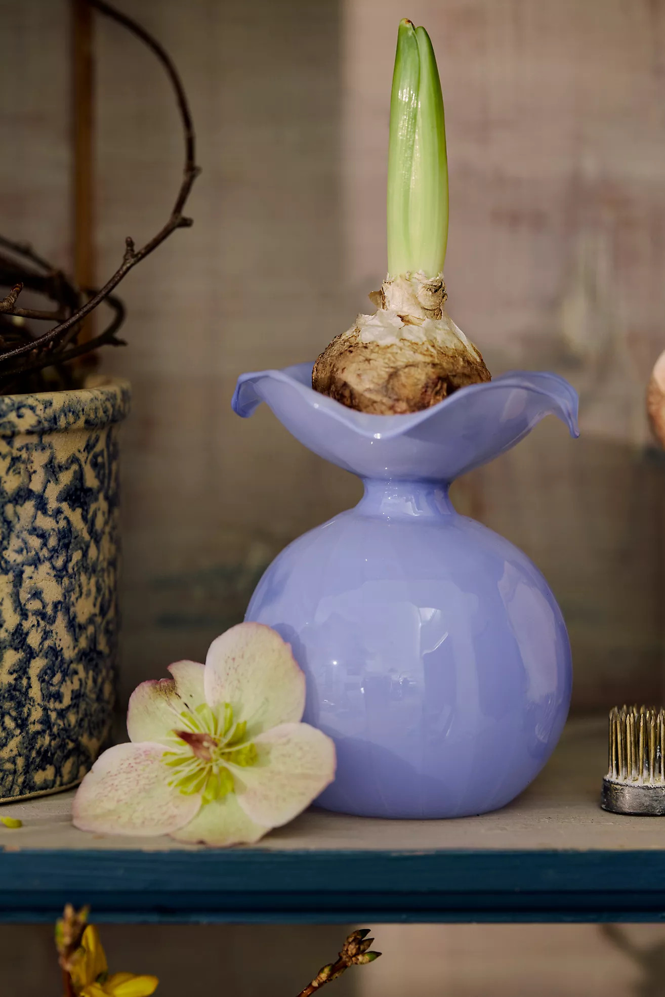 Ombre Baubles Glass Bud Vase | Anthropologie (US)