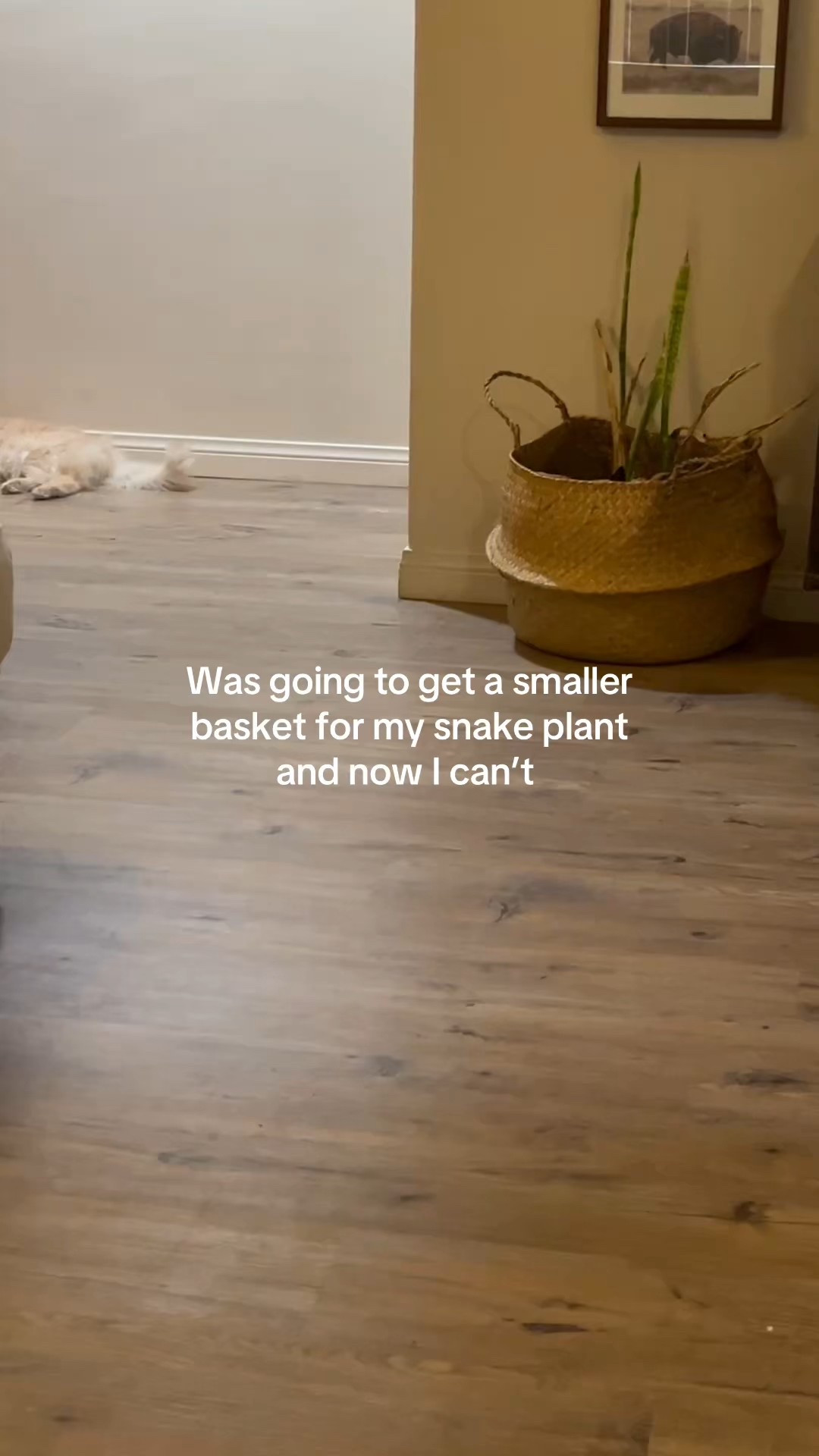 Will def be keeping this basket

#LTKFamily #LTKHome #LTKFindsUnder50