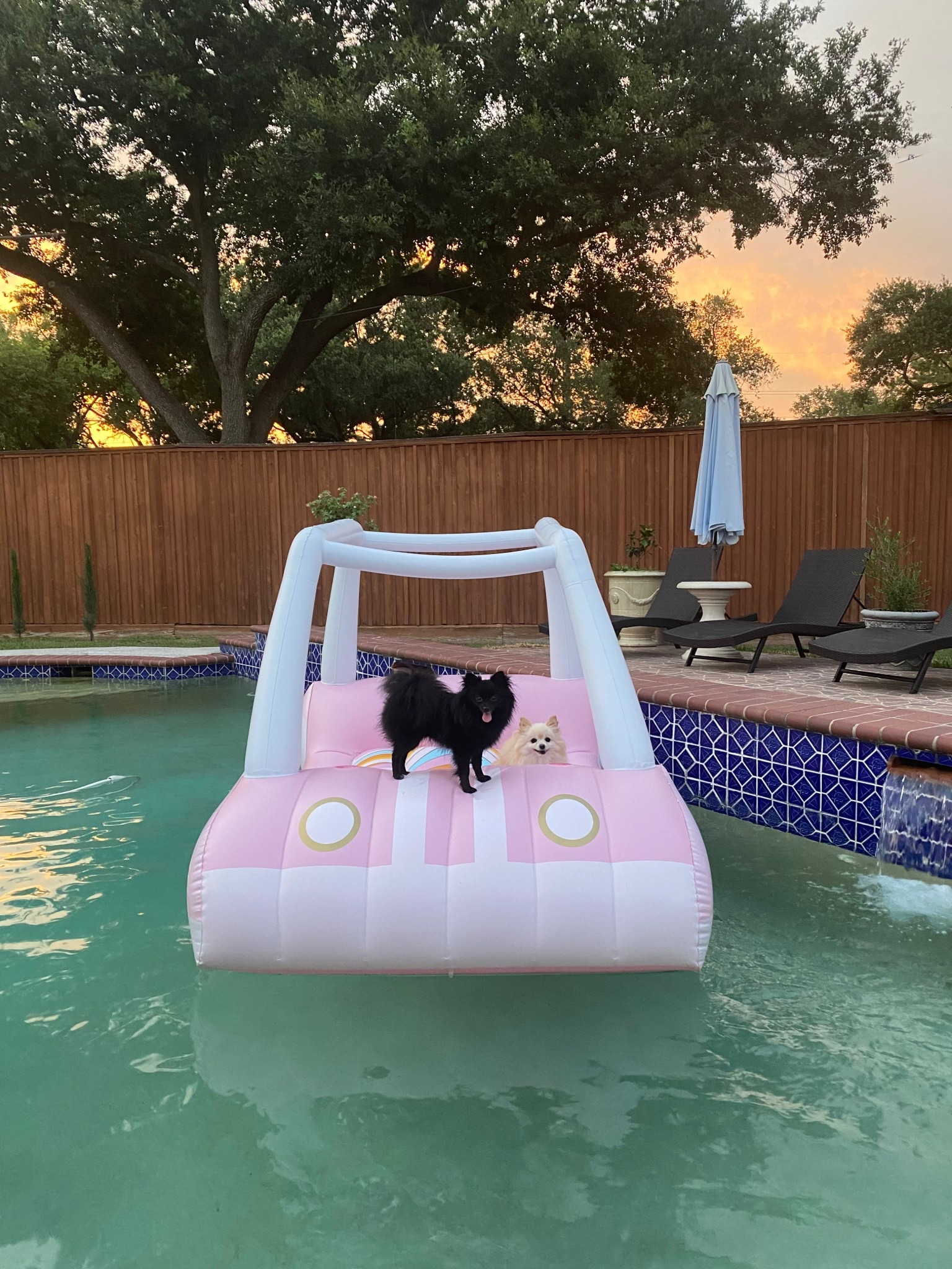 Getting all set for Summer!!!  ⛱️ @funboy

#LTKParties #LTKHome #LTKFamily