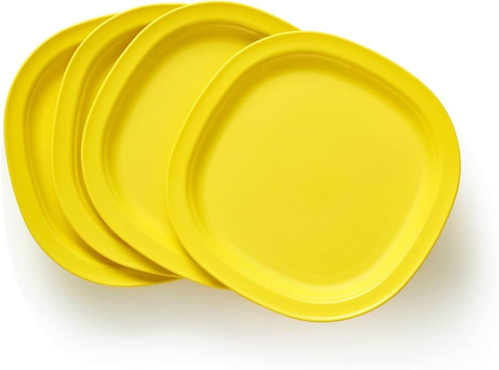 New Tupperware Tupperware Microwaveable Dessert Plate Set | Amazon (US)