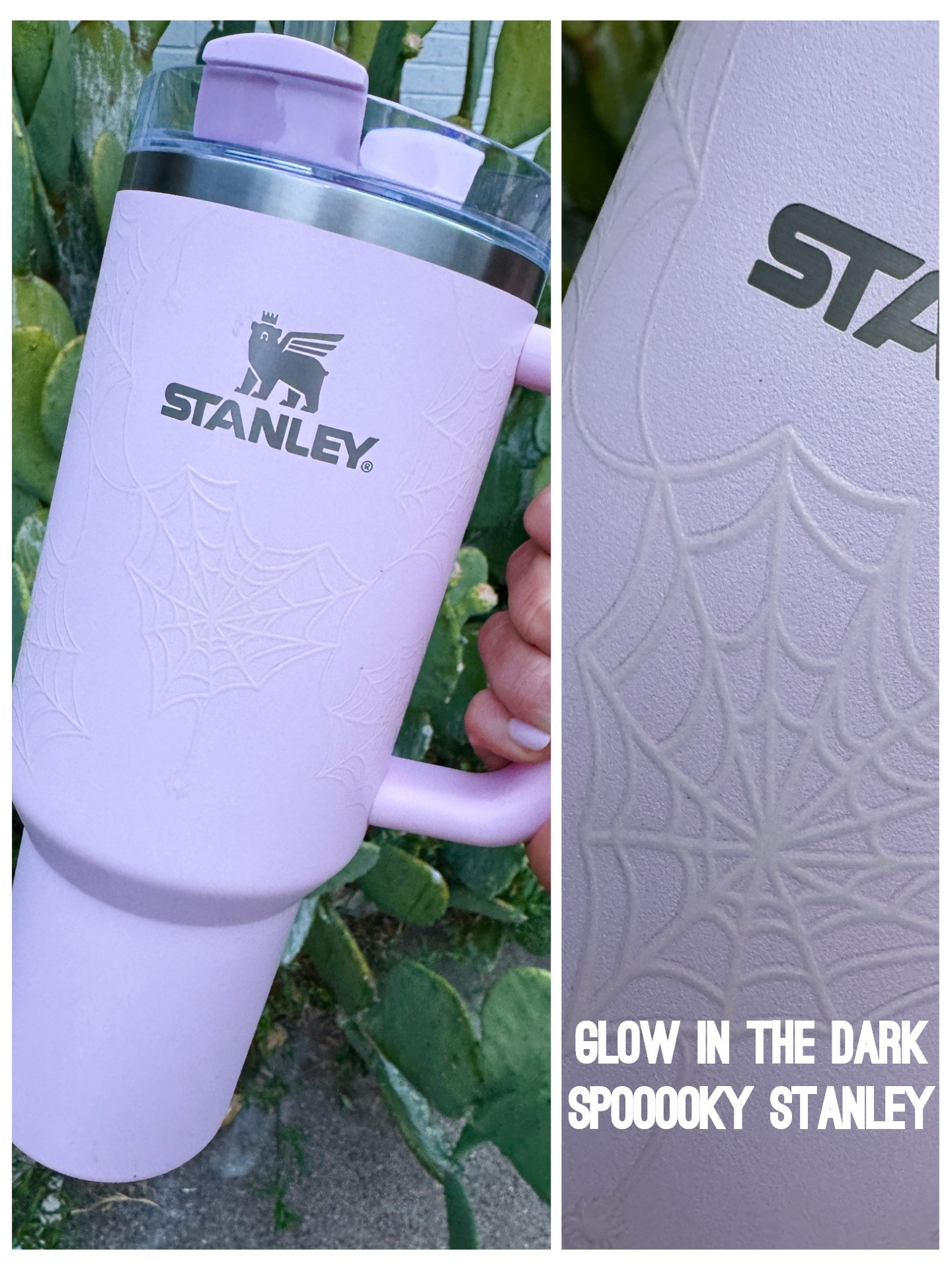 Spooky hydration with the glow in the dark Halloween Stanley

#LTKSeasonal #LTKHome