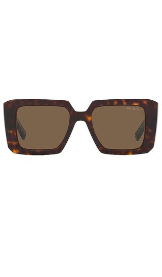 Symbole in Tortoise & Dark Brown | Revolve Clothing (Global)