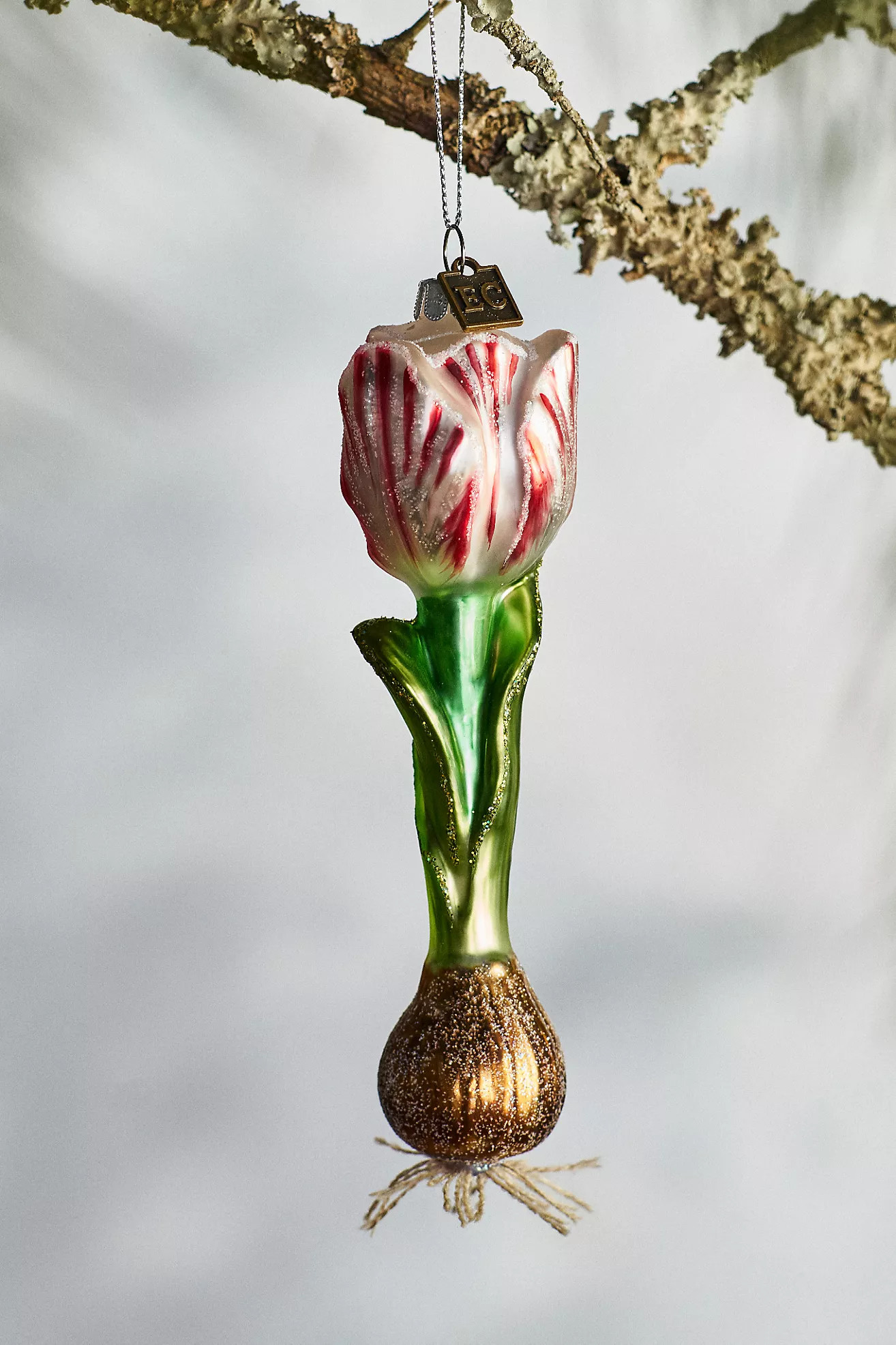 Red Tulip Bulb Glass Ornament | Anthropologie (US)
