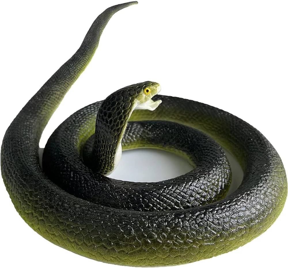 Realistic Rubber Snake, Scary Fake Snake to Keep Birds Away Garden, Large Black Snake Pranks Toy ... | Amazon (US)