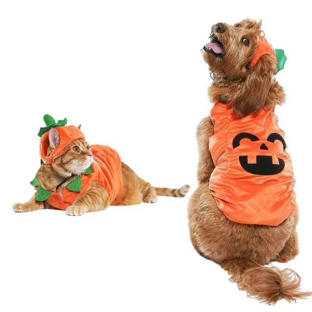 Vibrant Life Halloween Dog Costume and Cat Costume: Jack-O-Lantern, Size Small | Walmart (US)