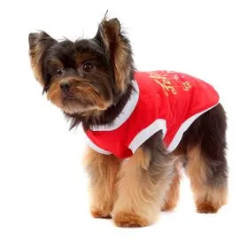 Camiseta de Natal Bichinho Chic Vermelha | Cobasi | Cobasi (BR)