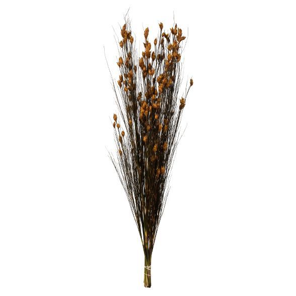 Vickerman all Natural Bell Grass with Seed Pods, Preserved | Target
