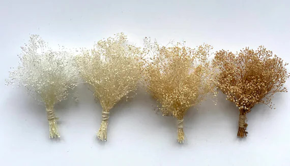 Small Bunch Dried Flowers-baby Breath  Lot Resin Natural | Etsy | Etsy (US)