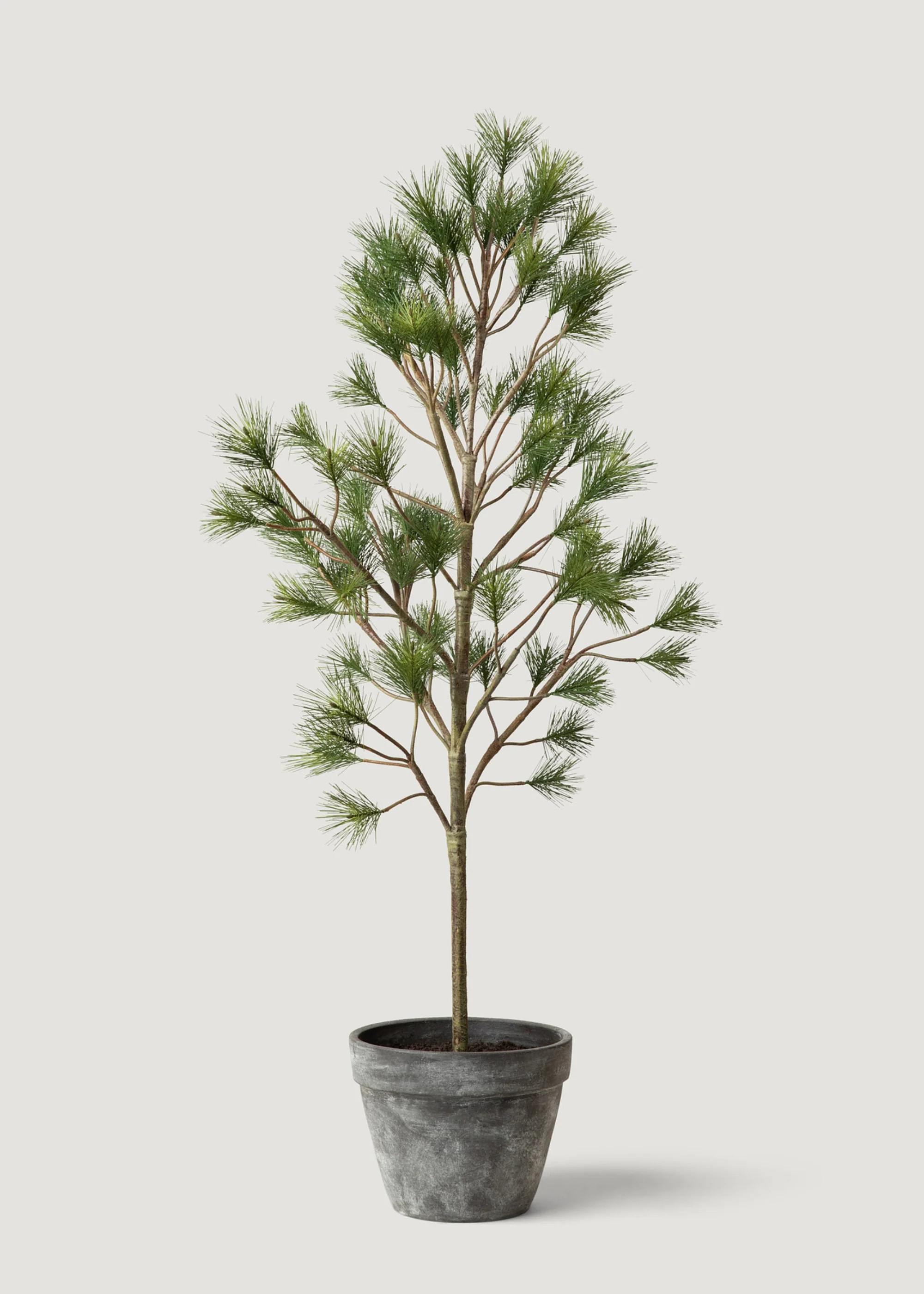 Tall Potted Forest Pine Tree | Artificial Winter Greenery | Afloral | Afloral