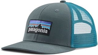Patagonia P-6 Logo Trucker Hat | REI Co-op | REI