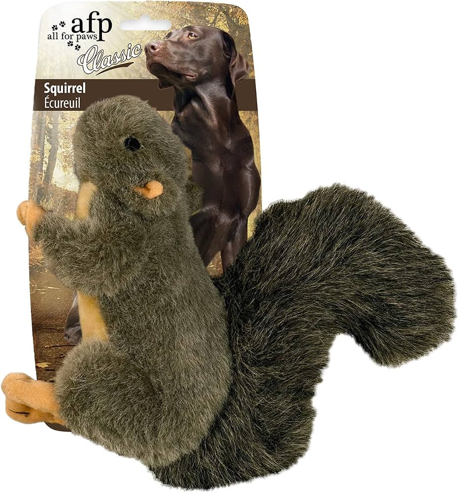 ALL FOR PAWS Classic Squirrel Pet Toys, Small | Amazon (US)