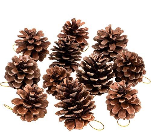 Whaline 25 Pcs Christmas Natural Pine Cones, Rustic Pinecones Bulk Ornaments with String for Craf... | Amazon (US)