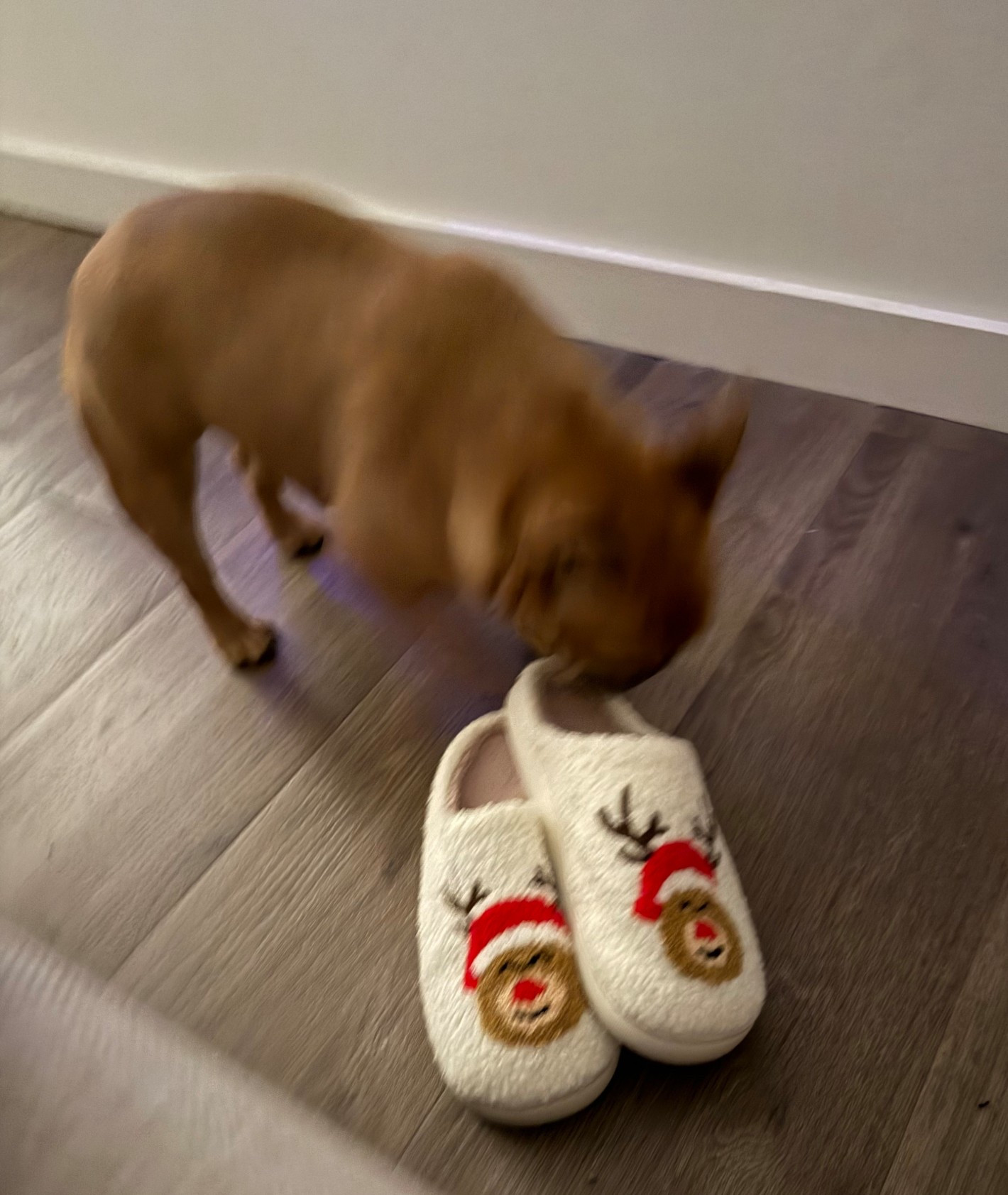 #LTKFindsUnder50 #LTKHoliday