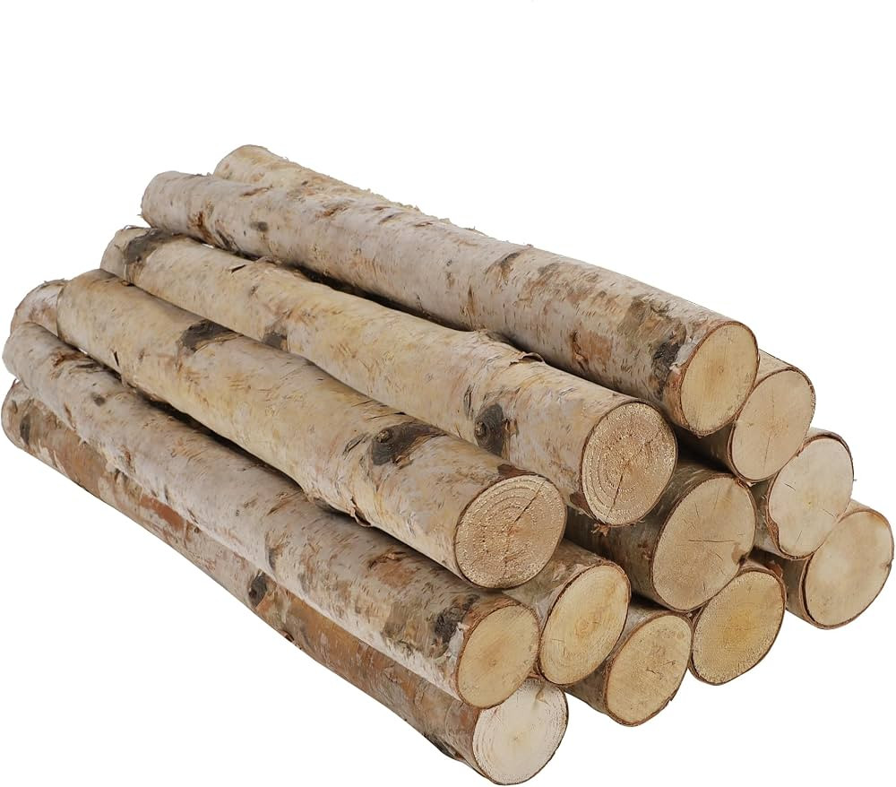Amazon.com: Sancodee 12 Pcs 16" Large White Birch Logs for Faux Fireplace Filler Decorative, Unfi... | Amazon (US)