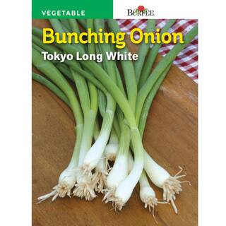 Burpee | The Home Depot