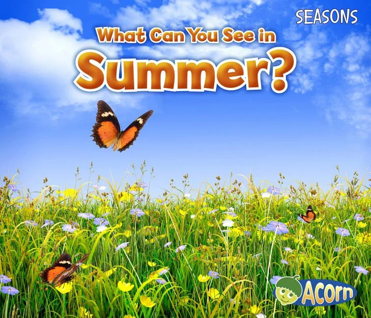 Seasons: What Can You See in Summer? (Paperback) - Walmart.com | Walmart (US)
