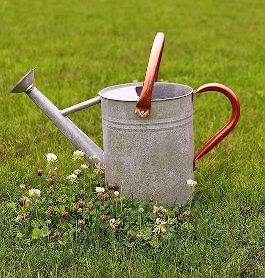 WEQUALITY Watering Can for Outdoor Plants，Rustic Metal Plant Watering Can with Copper Handles,1... | Amazon (US)