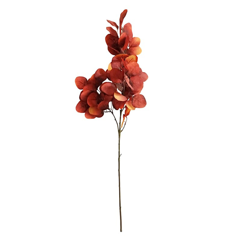 Orange Eucalyptus Stem, 35.5" | At Home