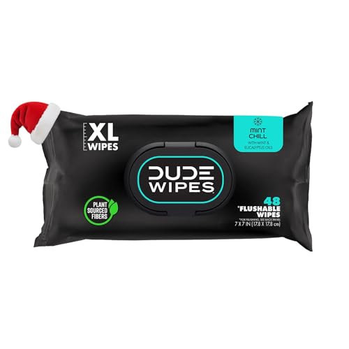 DUDE Wipes - Flushable Wipes Stocking Stuffers - 1 Pack, 48 Count - Mint Chill - Vitamin-E, Aloe, Eucalyptus & Tea Tree Oils - Septic and Sewer Safe | Amazon (US)