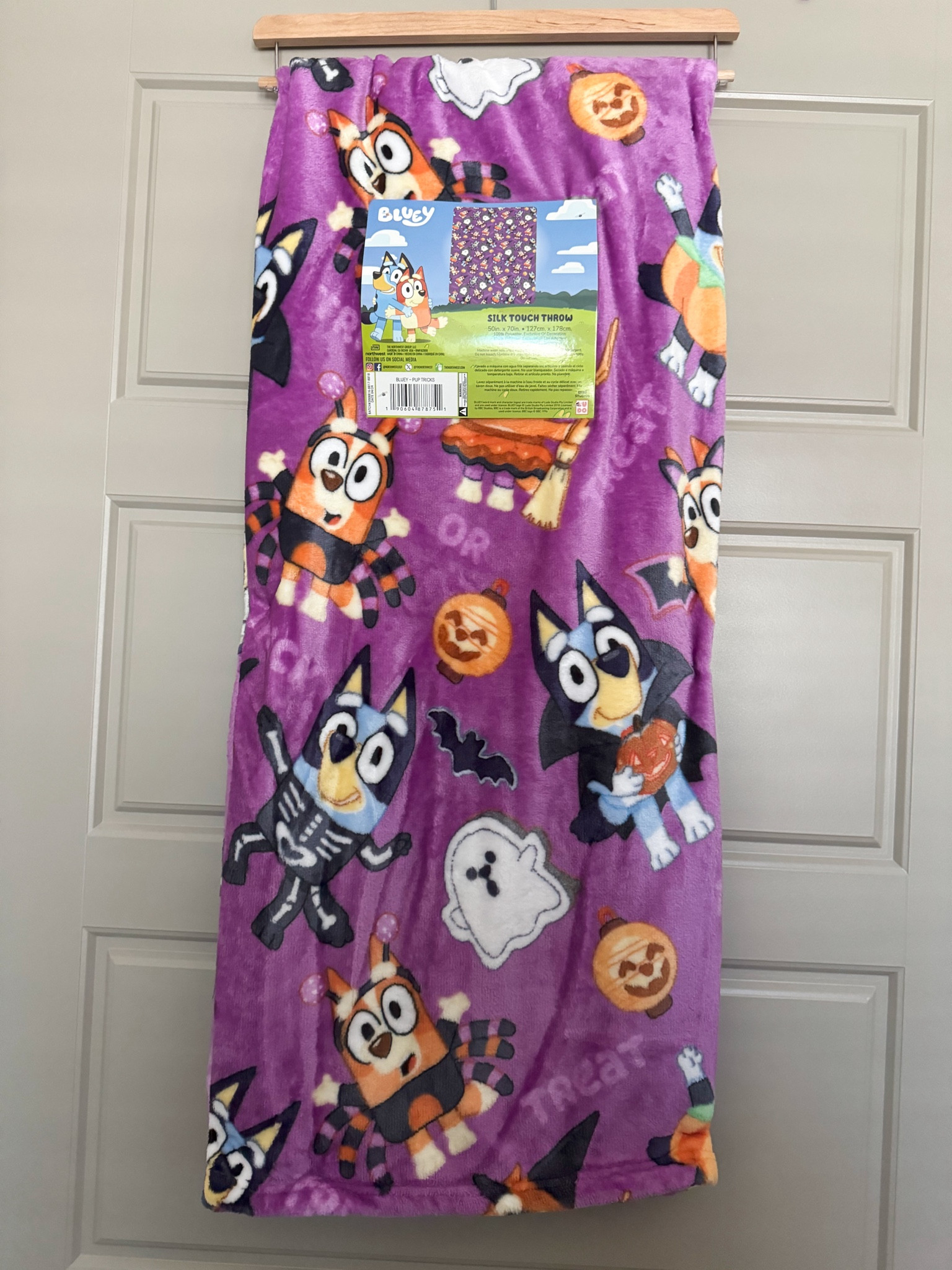 Northwest Halloween Bluey and Bingo Silk Touch Throw Blanket on Amazon

#LTKSeasonal #LTKKids