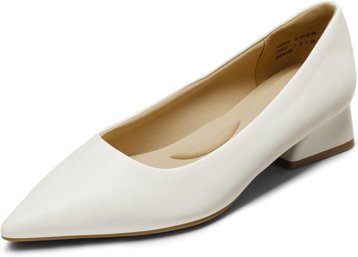 DREAM PAIRS Women's Chunky Heels Closed Toe Low Block Work Shoes Pointed Toe Dress Comfortable We... | Amazon (US)