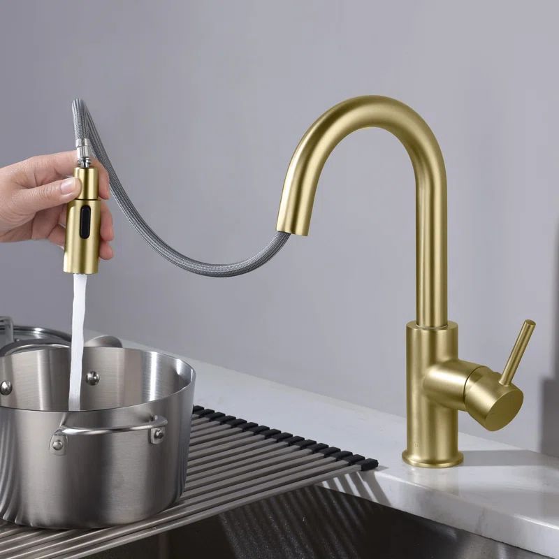 KIBI Luxe Pull Down Kitchen Faucet | Wayfair North America