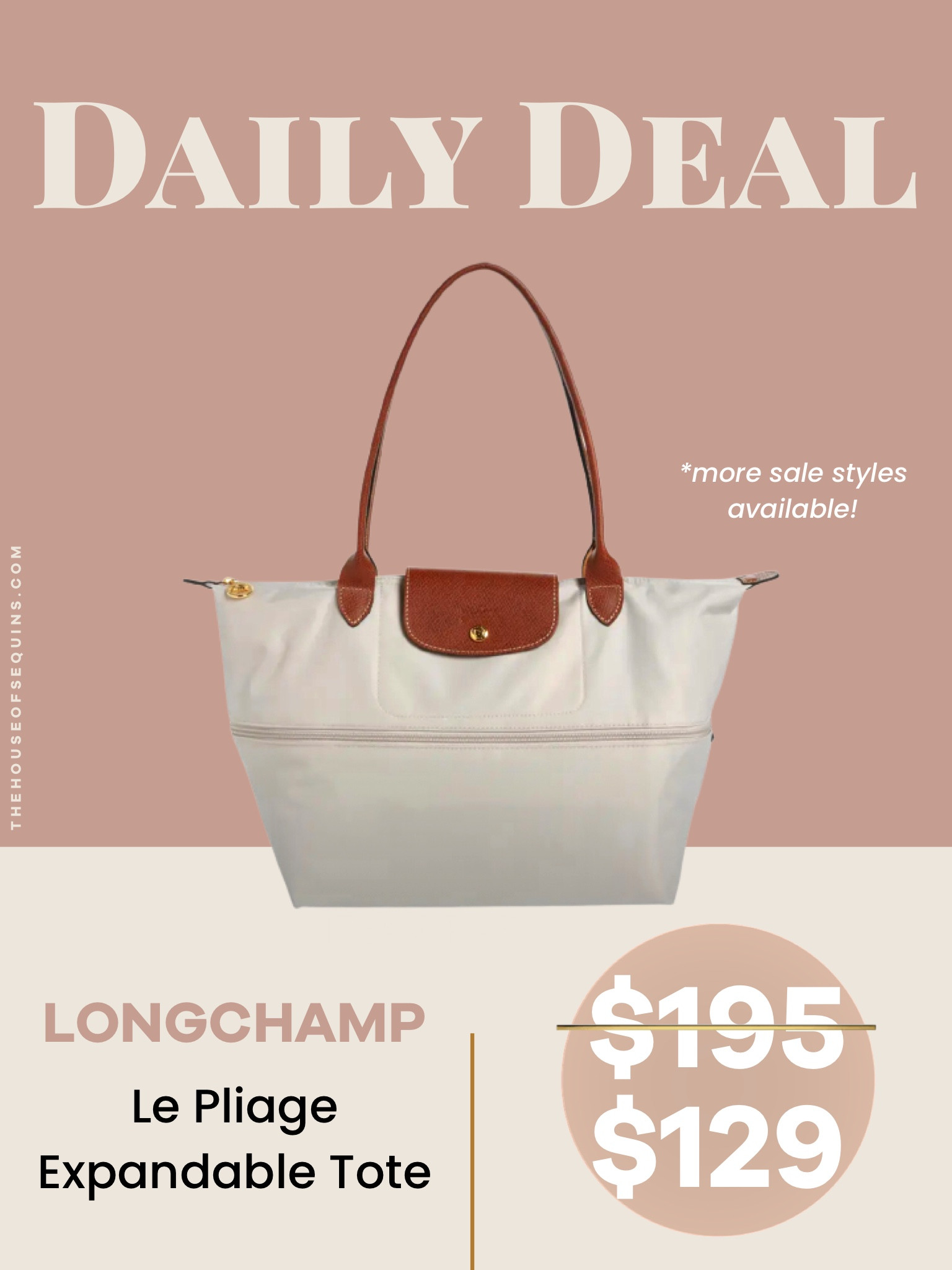 Love this hack of buying the Longchamp Le Pliage Pouch with Top Handle