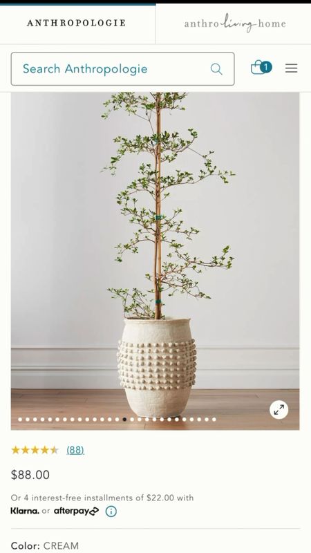 Look at the new minka anthropologie vases!! I’m getting the low bowl!! Click on link below and scroll through the options to add to cart! 

#LTKFind #LTKhome #LTKSeasonal