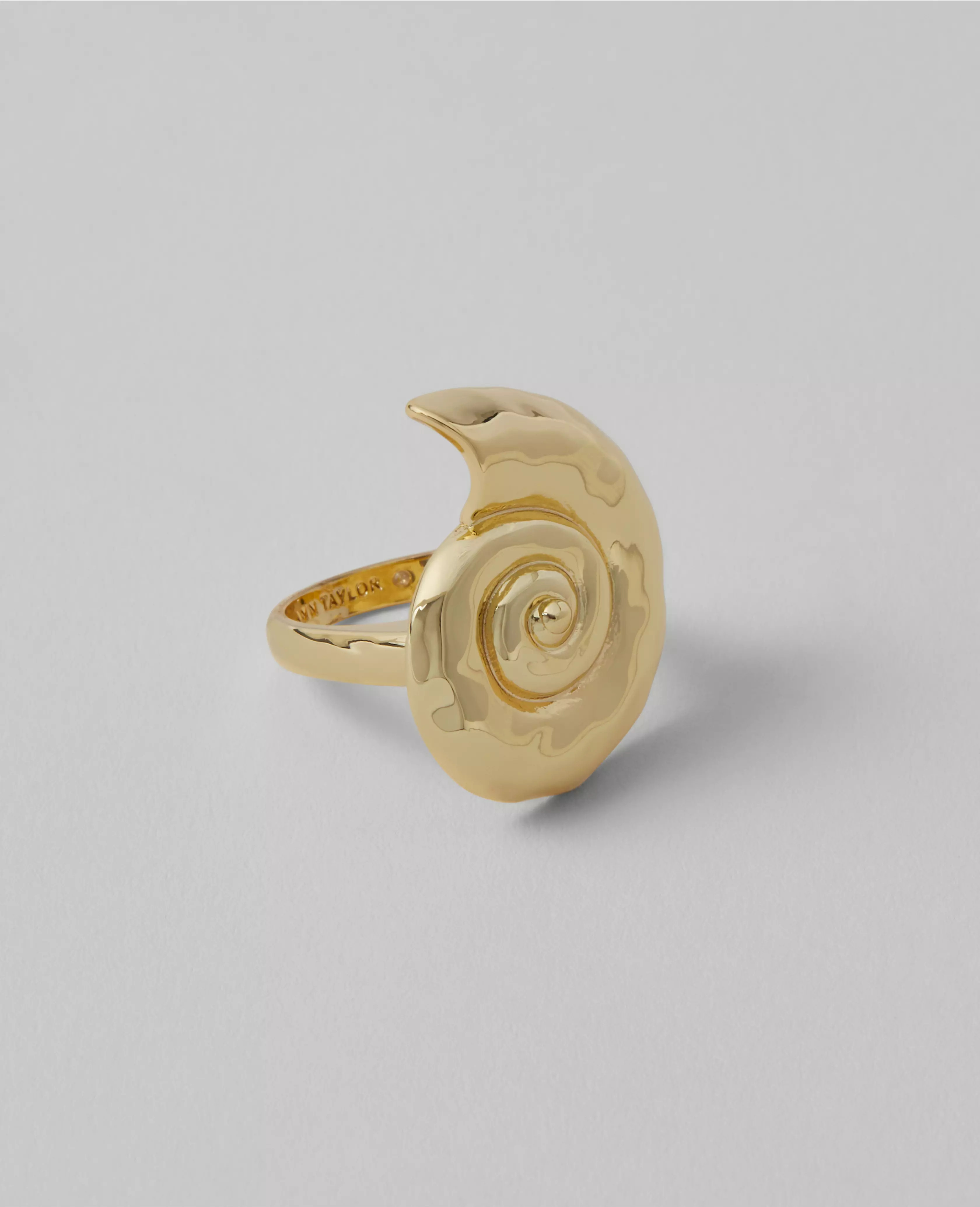 Ann Taylor | Ann Taylor