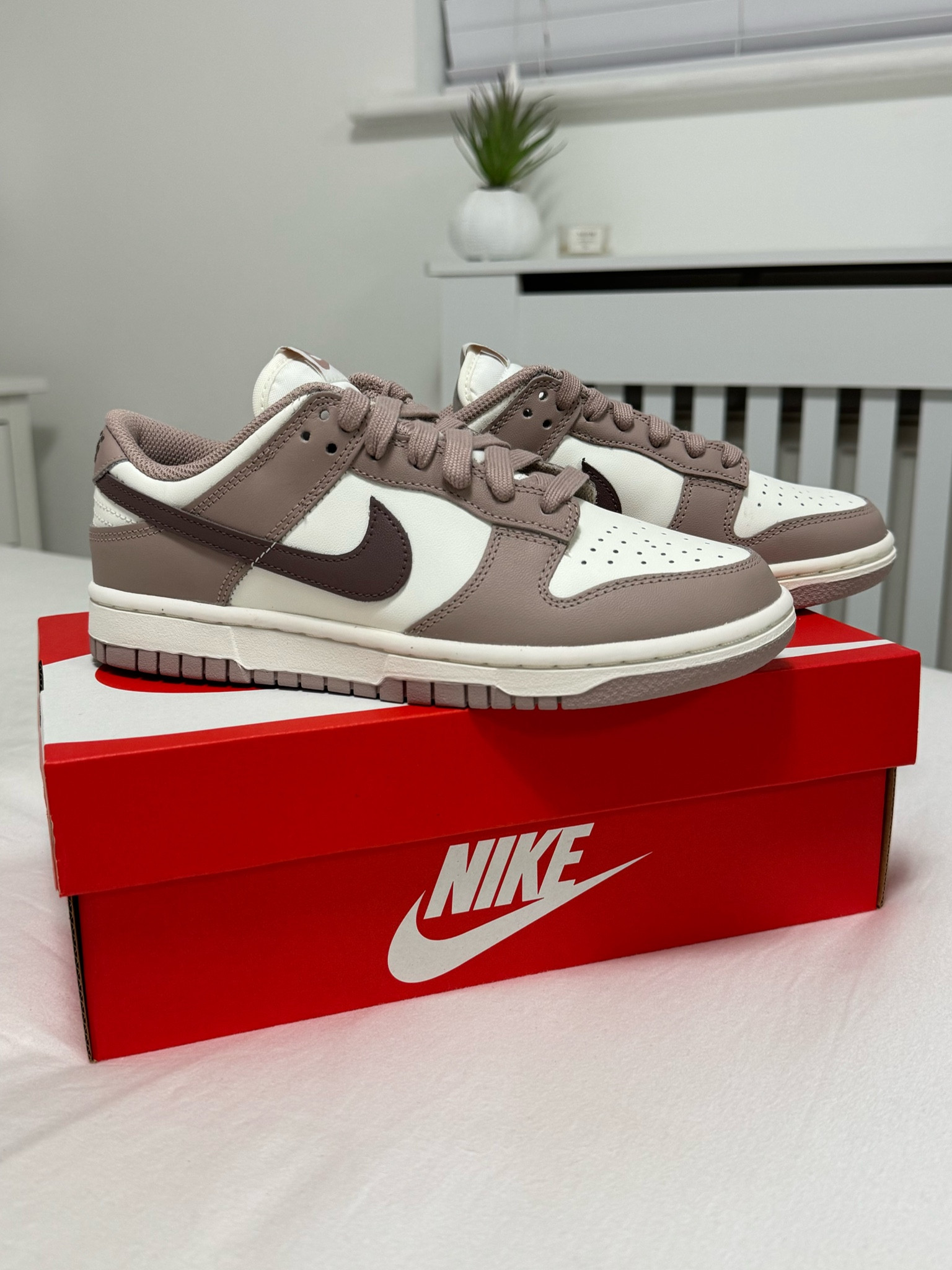 New Nike dunks 

#LTKshoecrush #LTKGiftGuide #LTKHoliday