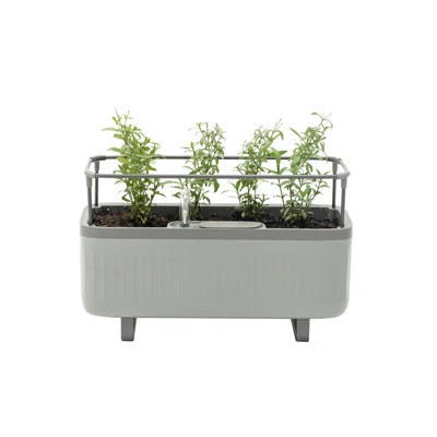 Mini Herb Plastic Outdoor Pot Planter with Trellis | Wayfair North America