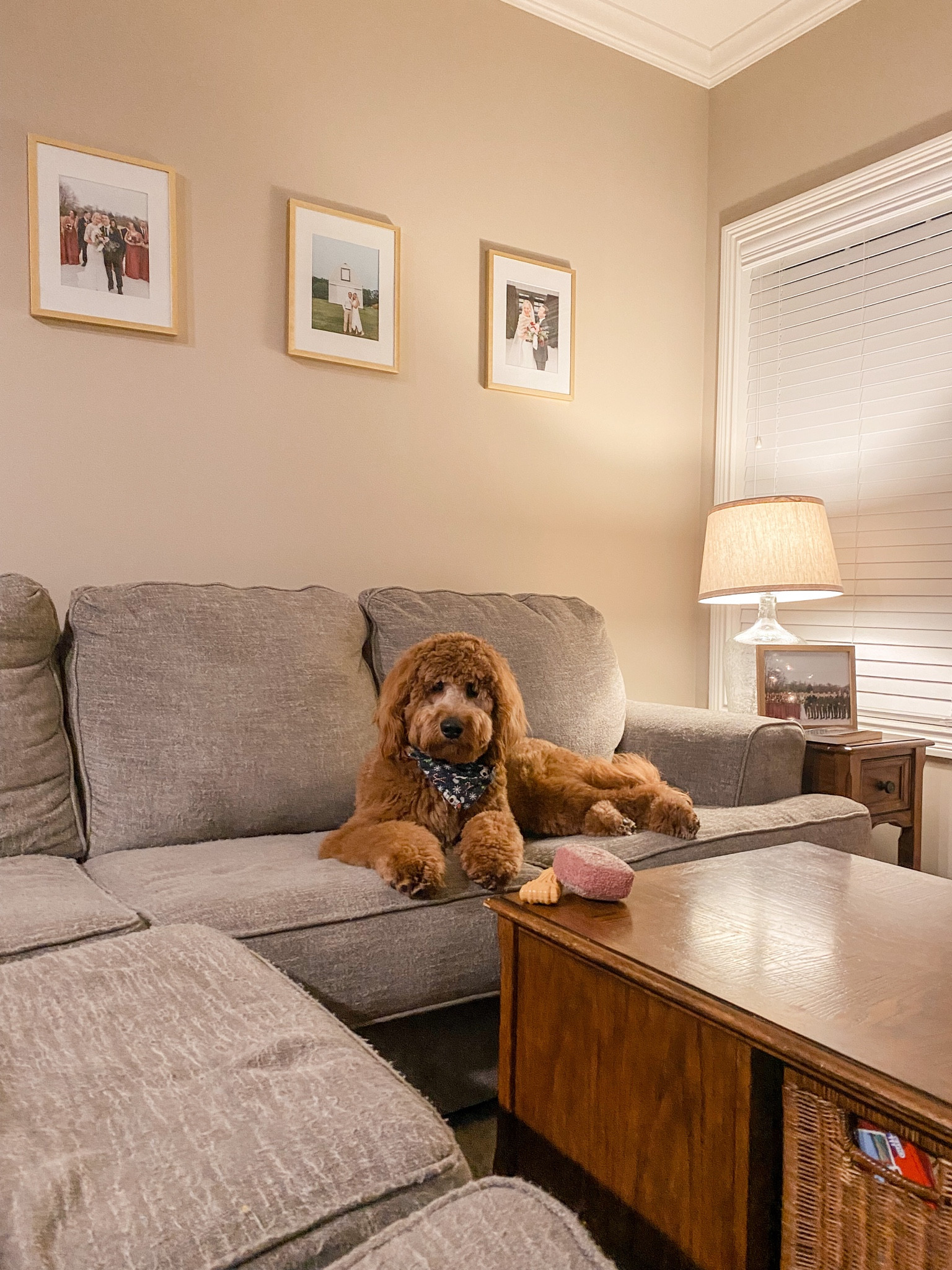 Millers favorite things 

#LTKFind #LTKSeasonal #LTKunder50