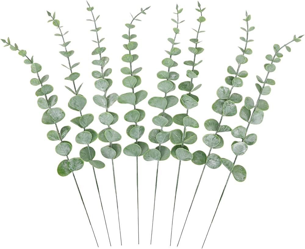 Visit the CEWOR Store | Amazon (US)