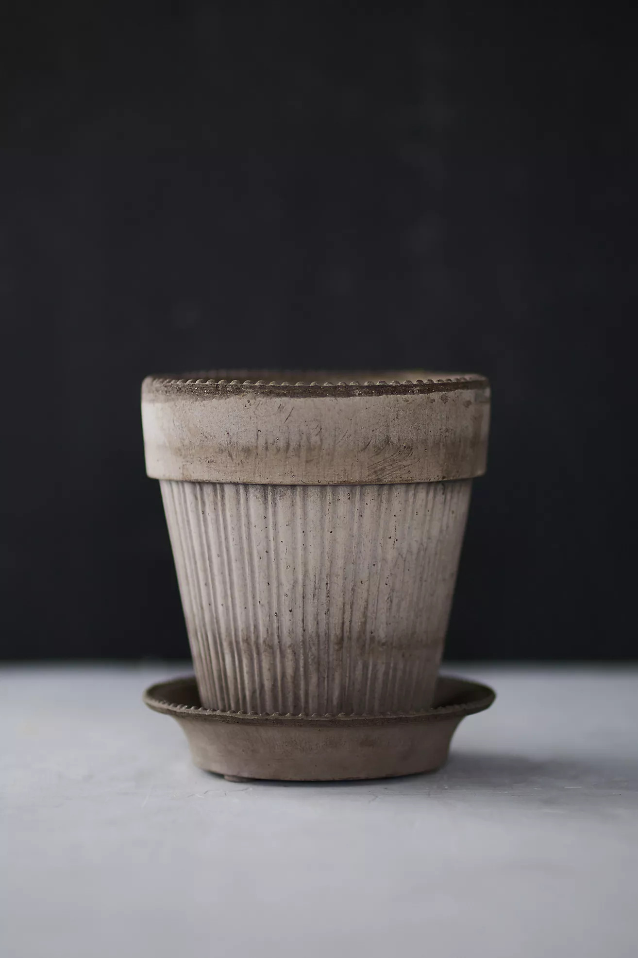 Bergs Dotted Pot + Saucer | Anthropologie (US)