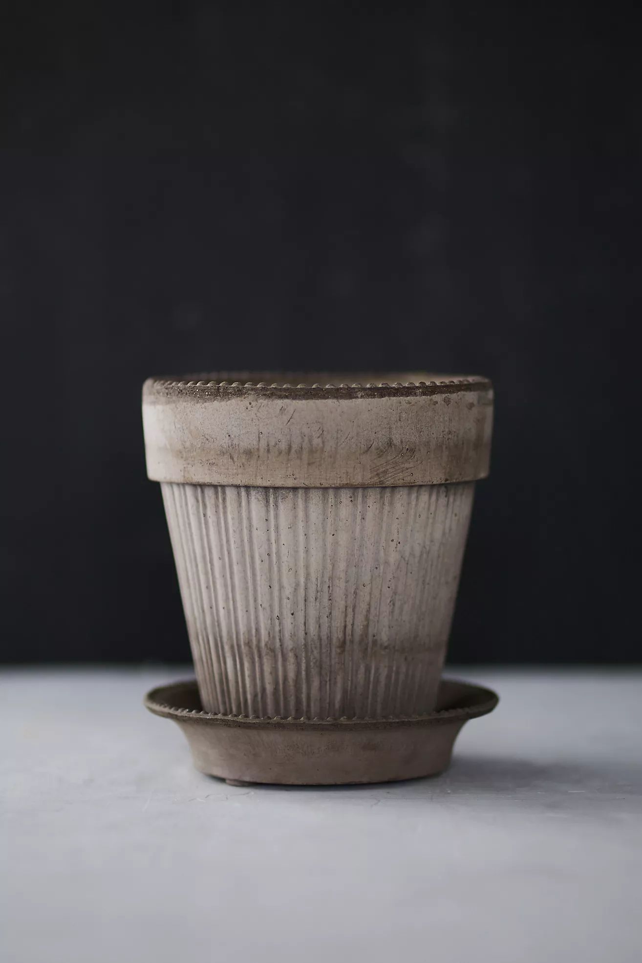 Bergs Dotted Pot + Saucer | Anthropologie (US)