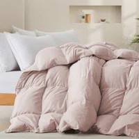 600 Fill Power All Season Down Comforter Duvet Insert | Wayfair North America