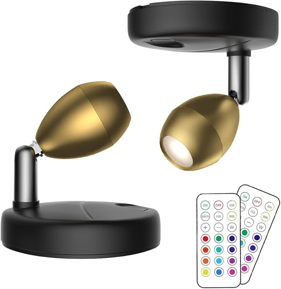 2Pack Battery Operated Spotlight,LED Wall Picture Light with Remote,Wireless Picture Lights for W... | Amazon (US)
