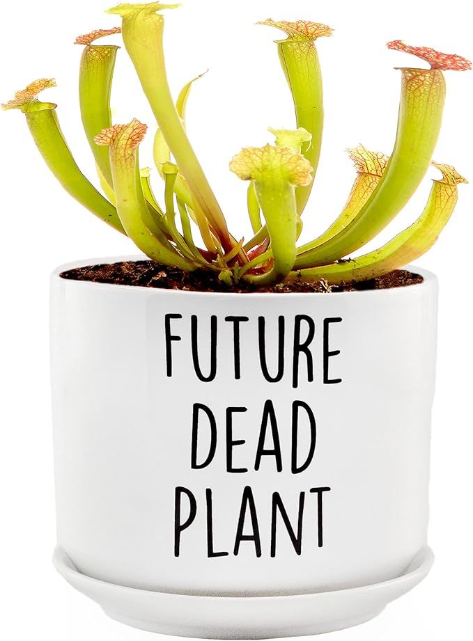 Future Dead Plant Pot (2-Piece Set), Ceramic Black Thumb Planter Pot Gift w/Saucer | Amazon (US)