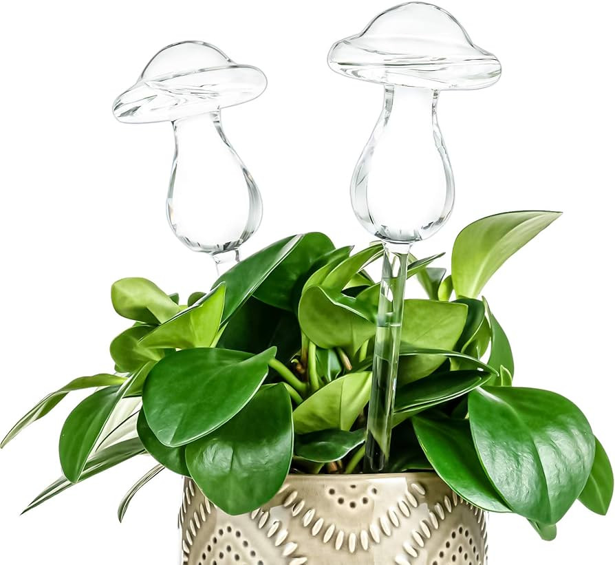 Kingbuy Self Watering Globes Plant Waterer Device Mushroom Shape Hand Blown Clear Glass Aqua Bulb... | Amazon (US)