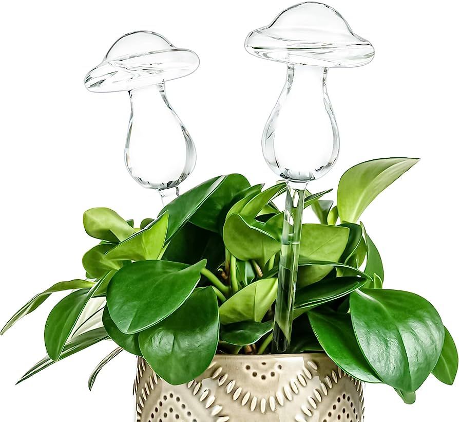 Kingbuy Self Watering Globes Plant Waterer Device Mushroom Shape Hand Blown Clear Glass Aqua Bulb... | Amazon (US)