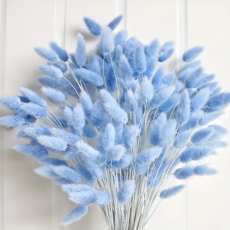 Value Pack Blue Bunny Tails Dried Flowers Dried Pampas Grass - Temu | Temu Affiliate Program