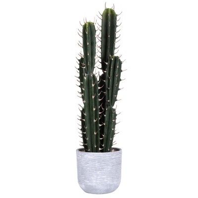 Vickerman 27.5" Artificial Green Cactus Plant. | Target