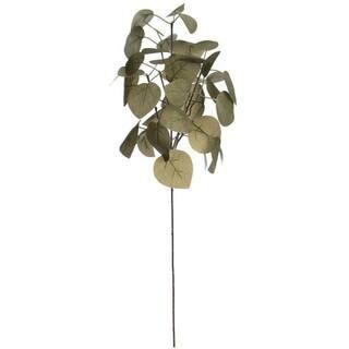 Olive Green Eucalyptus Stem by Ashland® | Michaels Stores