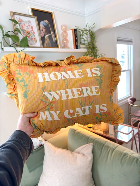 Home is where my cat is Urban Outfitters pillow 