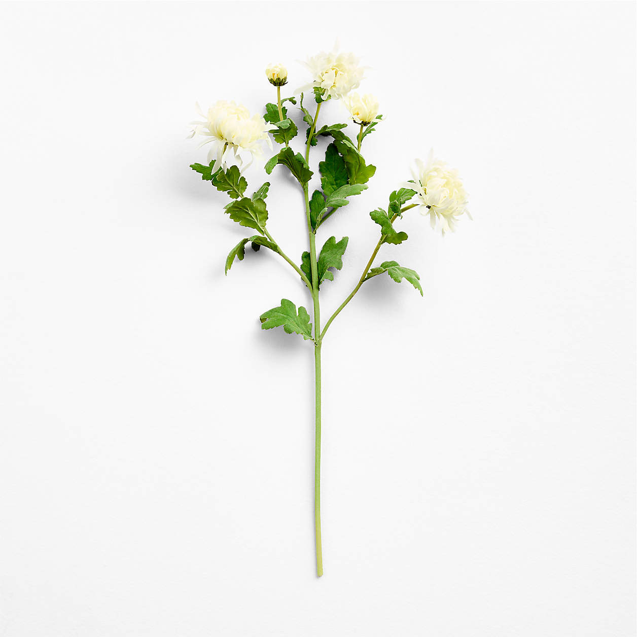 Faux White Mum Stem 31" | Crate & Barrel | Crate & Barrel