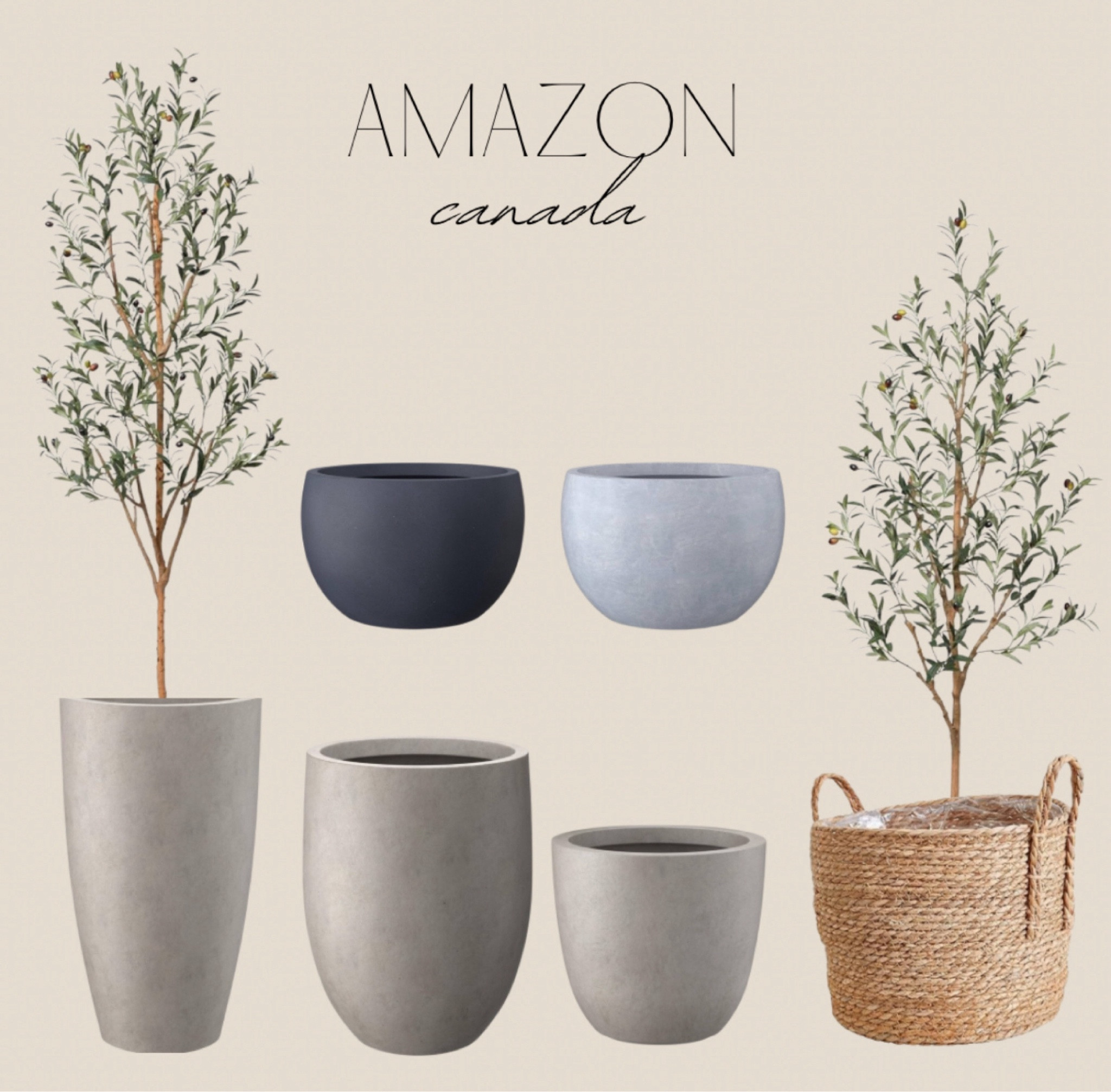 Love these olive tree and vases on Amazon. Affordable and trendy. Earthy organic home

#LTKhome #LTKsummer #LTKcanada