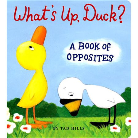 Whats Up Duck A Book of Opposites (Board Book) | Walmart (US)