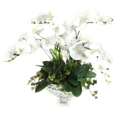 Orchids Floral Arrangement in Decorative Vase | Wayfair North America